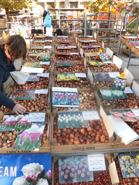 ベルギー・ゲントの花市場