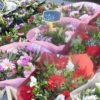 ベルギー・ゲントの花市場
